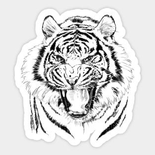 Tiger Sticker